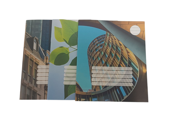 Sąsiuvinis 12 lapų,100g/m2, linija, segtas