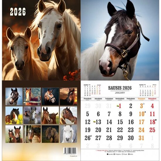 Kalendorius verčiamas 2026m. 200x205mm