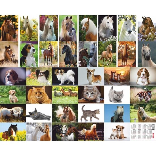 Kišeninis kalendorių kas 2026m.