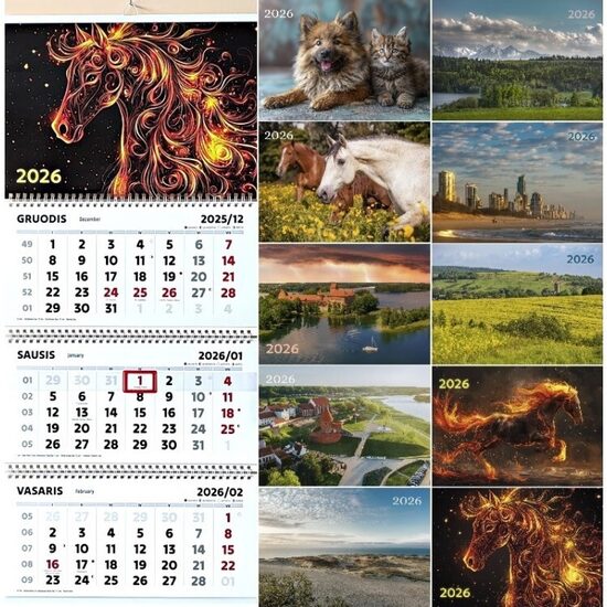 Kalendorius 2026m. 3 mėnesių, 3 spiralės
