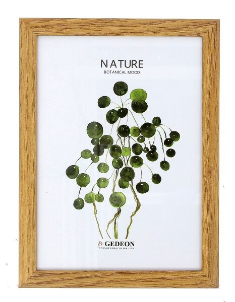  Rėmelis GED 10x15 med D510 šv.rudas 15x9mm