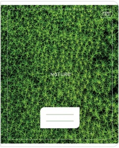 	 Sąsiuvinis 12 lapų HORSES/MICRO INTERDRUK, linija