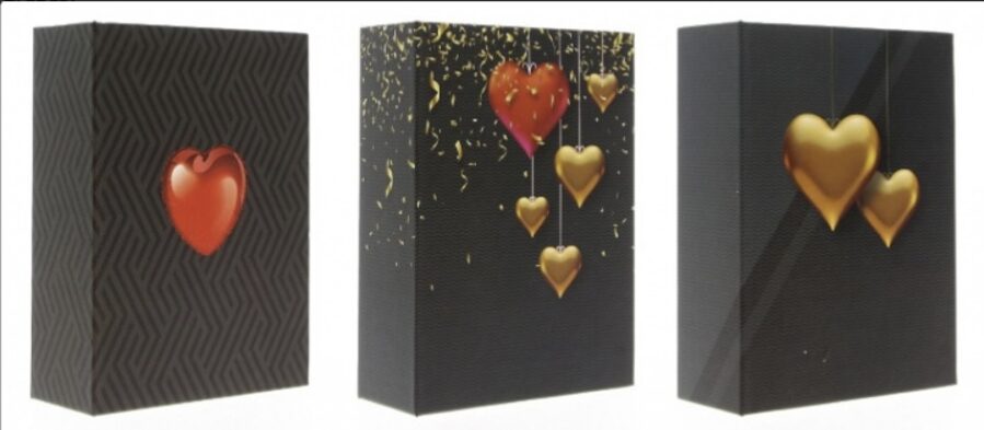 Albumas GED MM46100 14thFEB 10x15 100  kišeninis  klijuotas