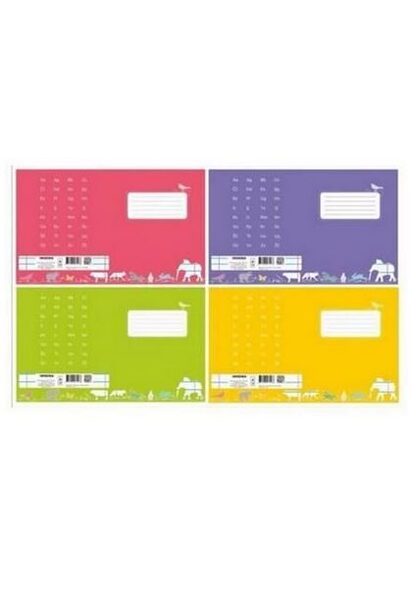 Mokyklinis sąsiuvinis "PREMIUM" 2 klasei 12 lapų, linija