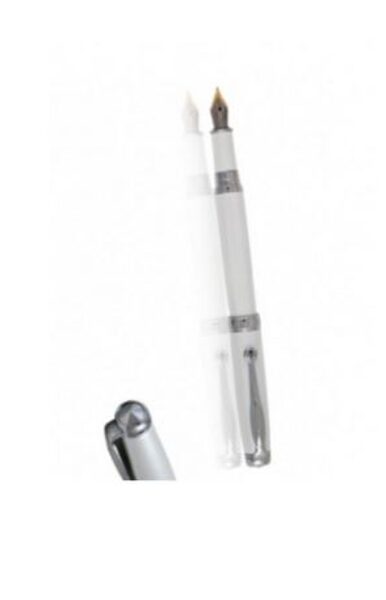 Plunksnakotis "Jennings silver/white" dėžutėje 502F-W REGAL