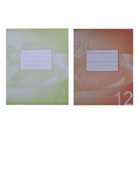 Mokyklinis sąsiuvinis 12 lapų, linija/langeliais