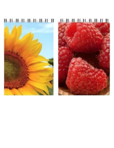 Bloknotas A6 su spirale, langeliais (14,5*10cm), 70 lapų