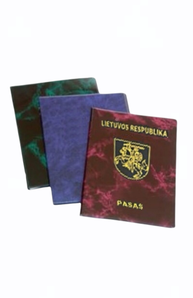 Aplankas pasui, plastikinis, įvairių spalvų