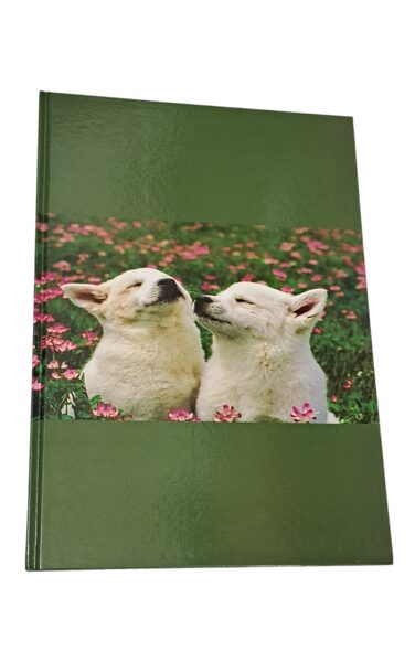 Sąsiuvinis kietu viršeliu A4, Penword, langeliais