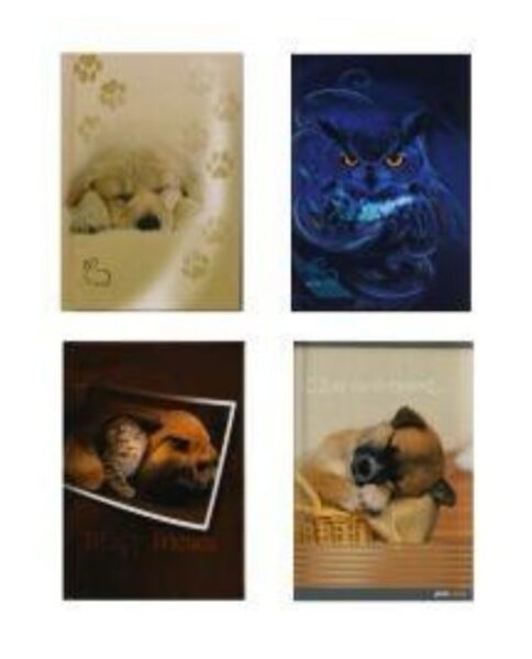 Užrašų knygutė A6/96 lapų, langeliais