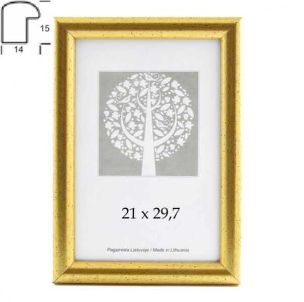 Rėmelis 21x30 plast 1303404 Aura auksinis  14mm