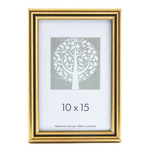 Rėmelis 30x40 plast 1301112 ECO auksinis 15mm