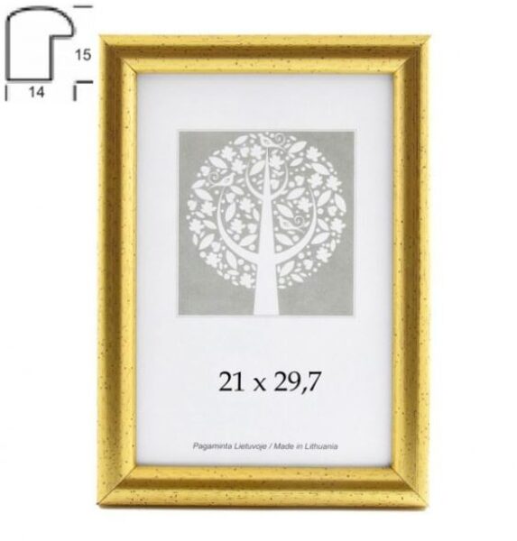 	Rėmelis 30x40 plast 1303404 Aura auksas 14mm