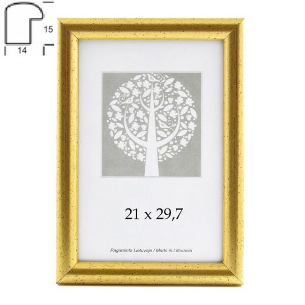 Rėmelis 15x21 plast 1303404 Aura auksinis 14mm