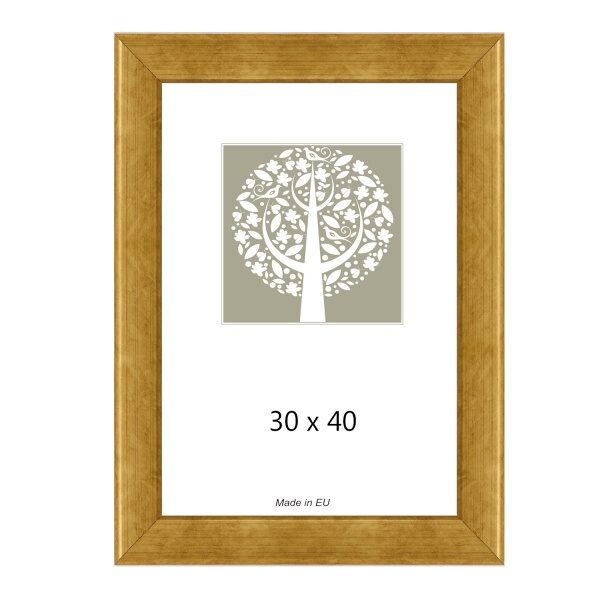 Rėmelis 30x40 med 1201382 GAMA auksinis  25 mm