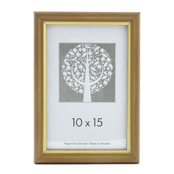 	Rėmelis 30x40 plast 1301117 ECO šviesiai rudas su auksu  15mm