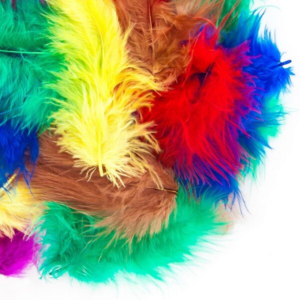 Plunksnos 5-12cm, 5g, basic