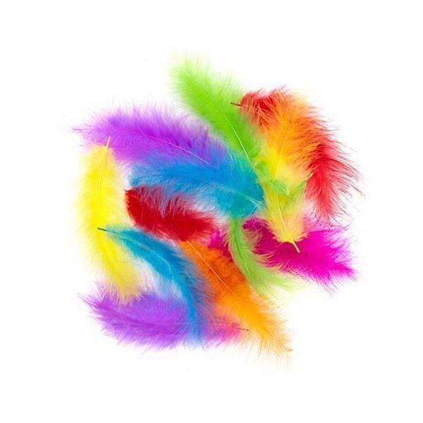 Plunksnos kalakuto 10-15cm 30vnt