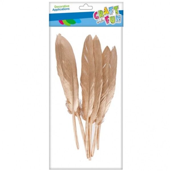 Dekorativinės aukso spalvos plunksnos 6 vnt. CRAFT-FUN